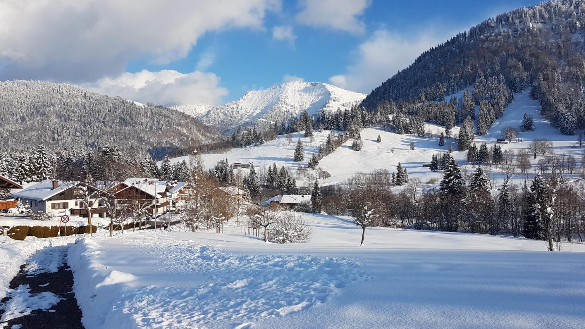 Exklusive Fewo Allgaeustern Steibis Mit Wlan Sauna Kamin Und Oberstaufen Plus Card Экстерьер фото