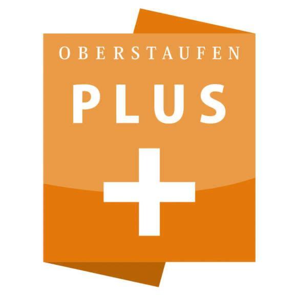 Exklusive Fewo Allgaeustern Steibis Mit Wlan Sauna Kamin Und Oberstaufen Plus Card Экстерьер фото