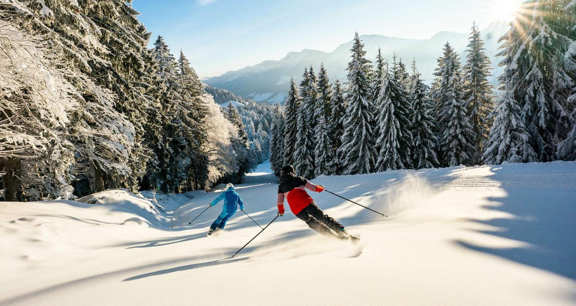 Exklusive Fewo Allgaeustern Steibis Mit Wlan Sauna Kamin Und Oberstaufen Plus Card Экстерьер фото
