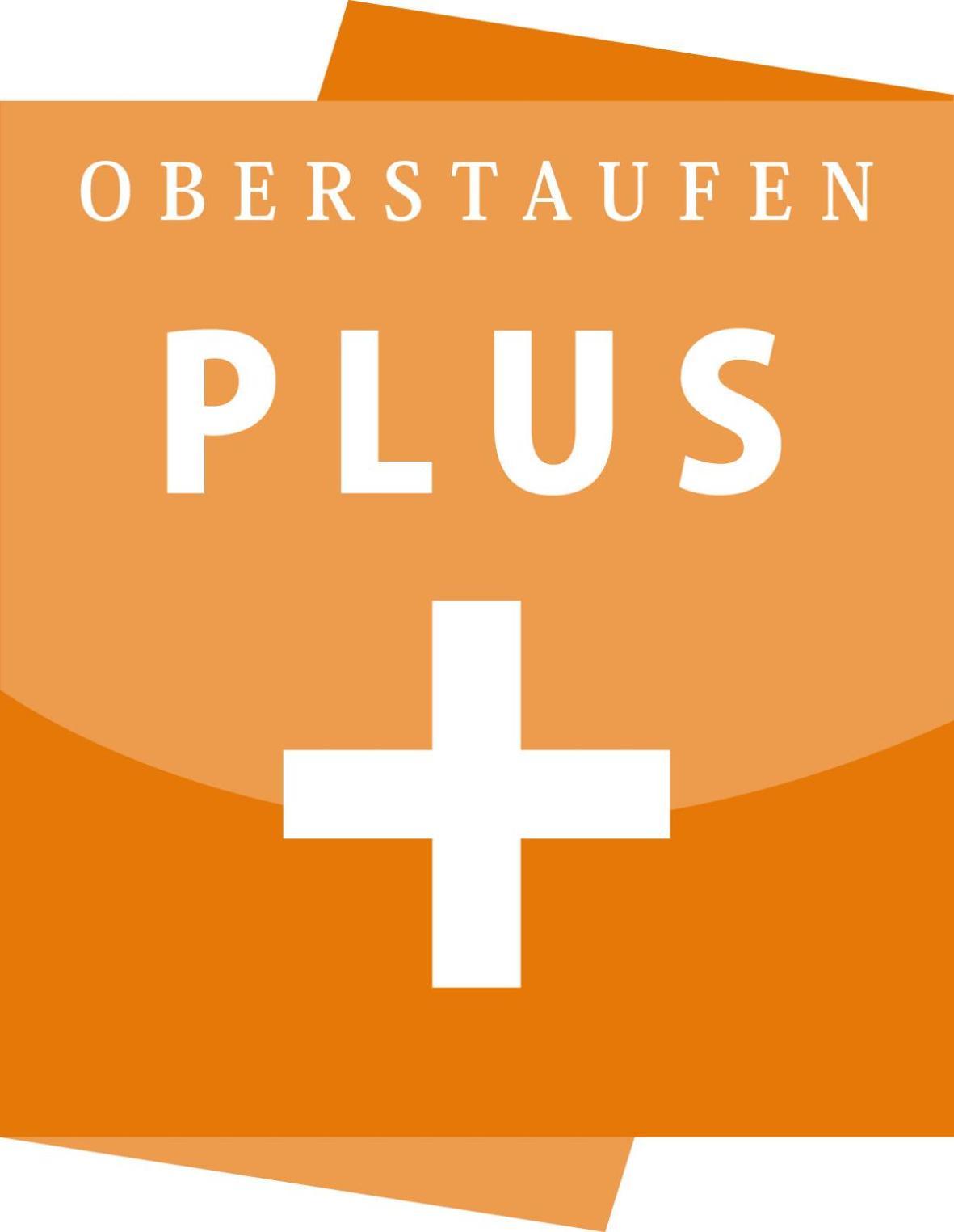 Exklusive Fewo Allgaeustern Steibis Mit Wlan Sauna Kamin Und Oberstaufen Plus Card Экстерьер фото